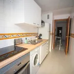 Apartment New Alfa